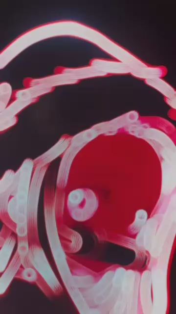 NEZUKO - DEMON SLAYER | NEON FRAME